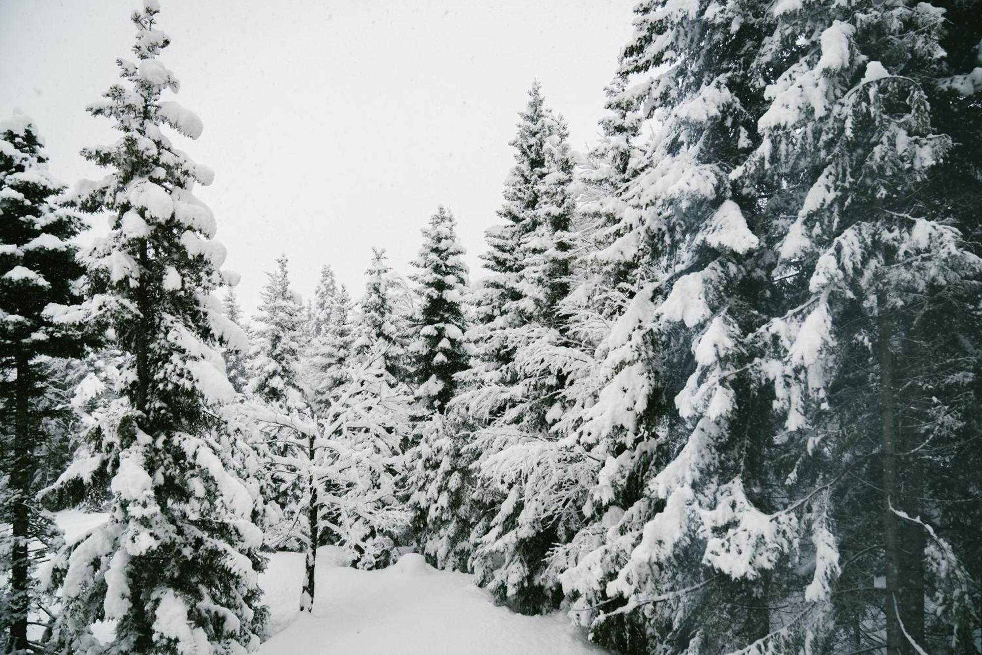 Forest Villa Goderdzi Buitenkant foto