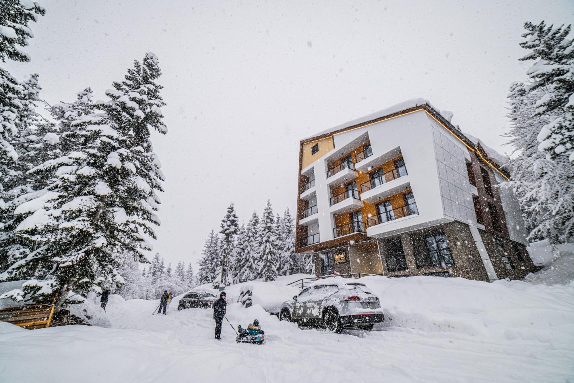 Forest Villa Goderdzi Buitenkant foto