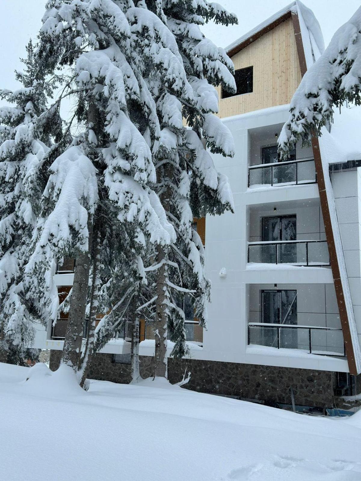 Forest Villa Goderdzi Buitenkant foto