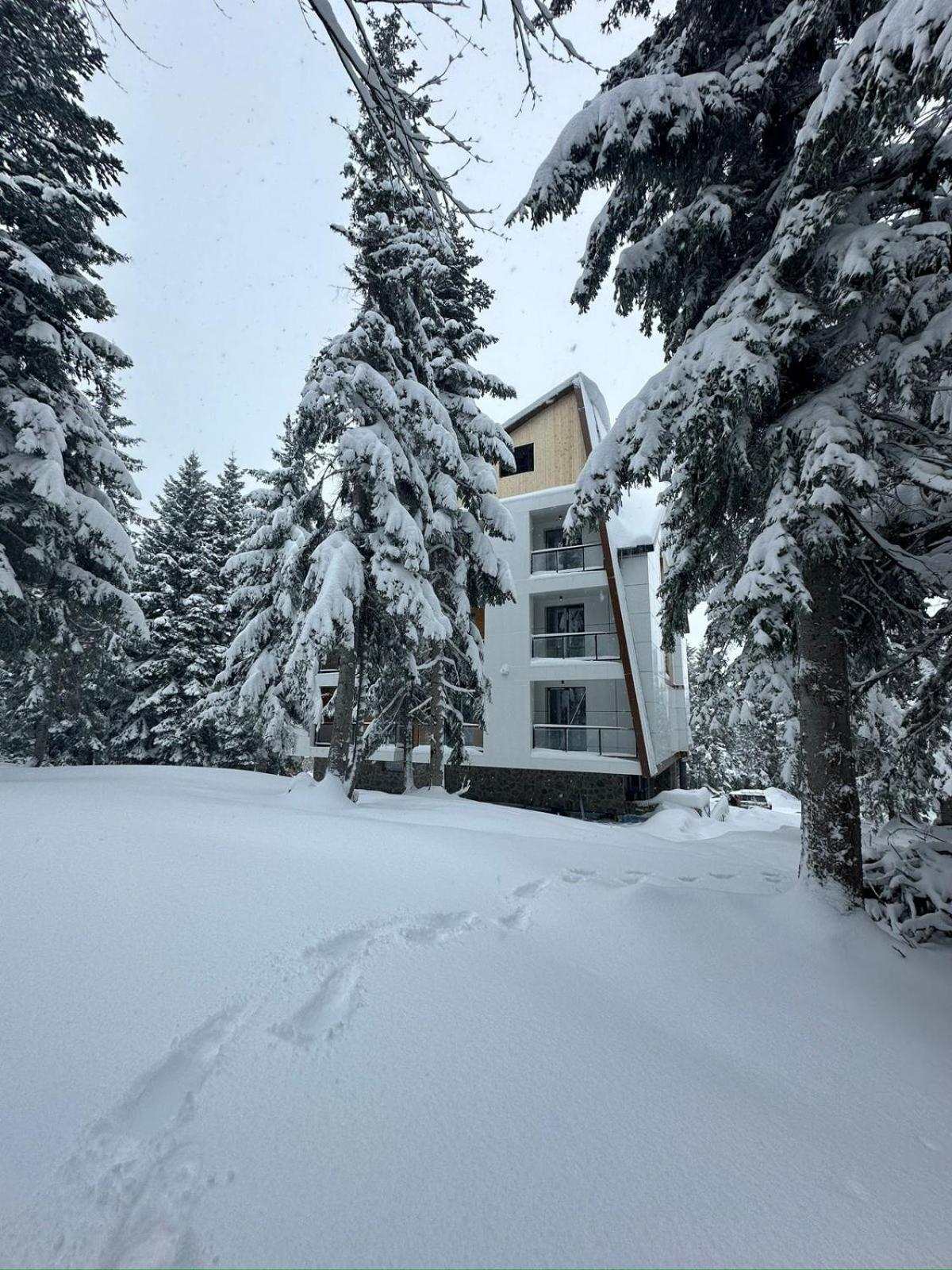 Forest Villa Goderdzi Buitenkant foto